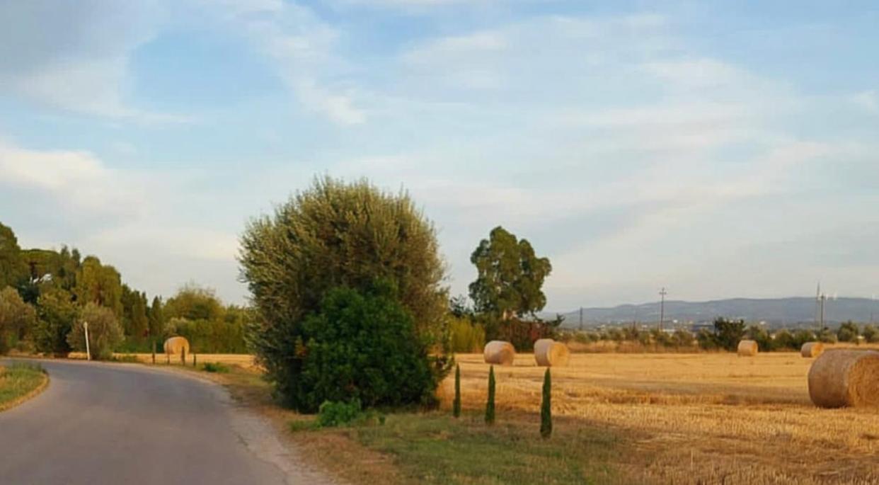 Il Cantuccio Cascina Extérieur photo