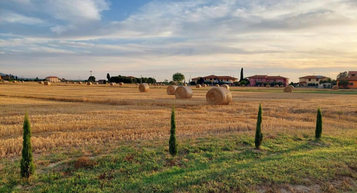 Il Cantuccio Cascina Extérieur photo