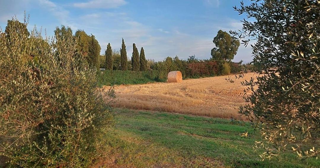 Il Cantuccio Cascina Extérieur photo