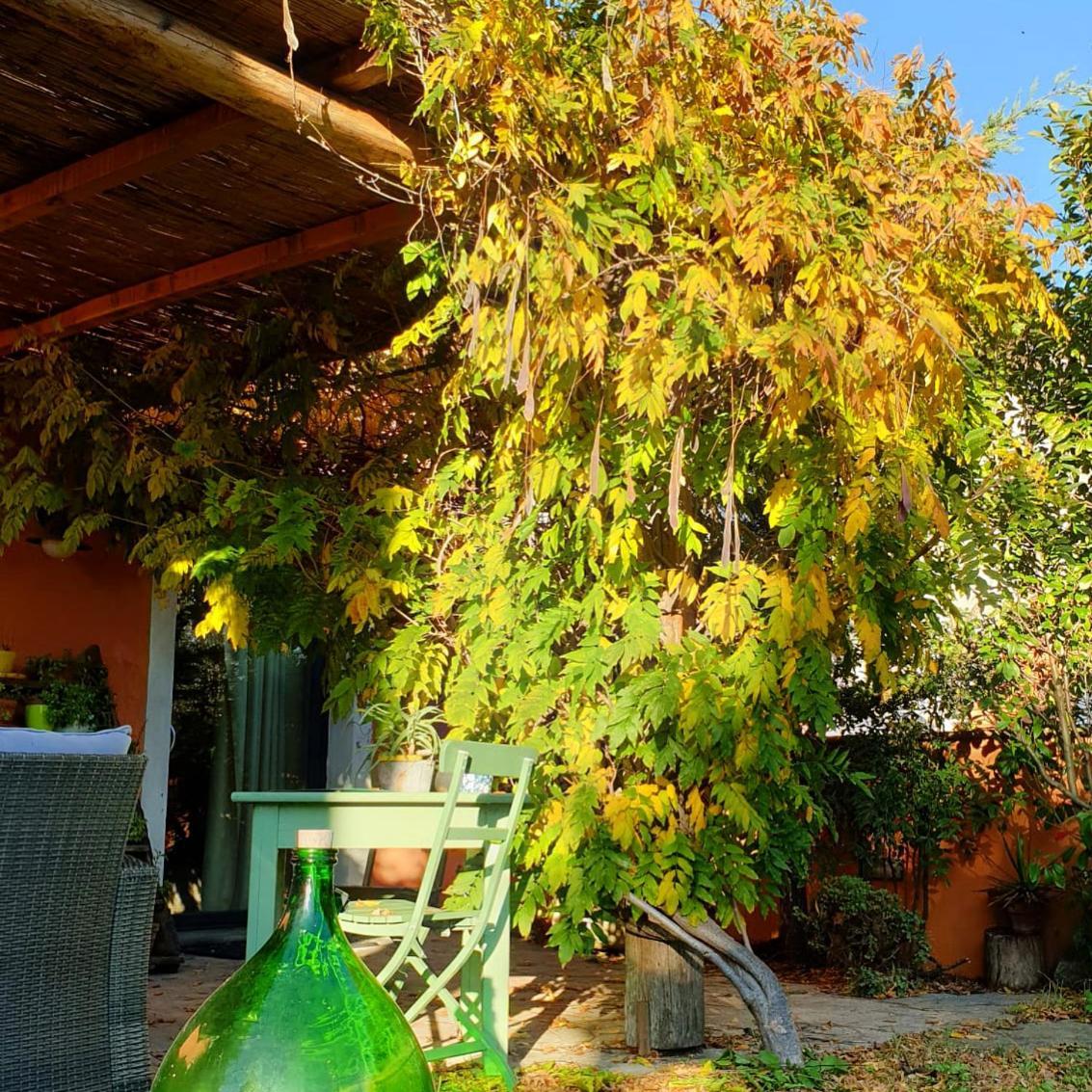 Il Cantuccio Cascina Extérieur photo